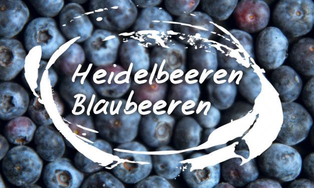 Heidelbeeren / Blaubeeren – Das beste heimische Superfood
